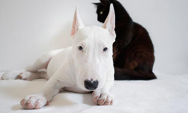 NewsNewsNewsNewsNewsNews